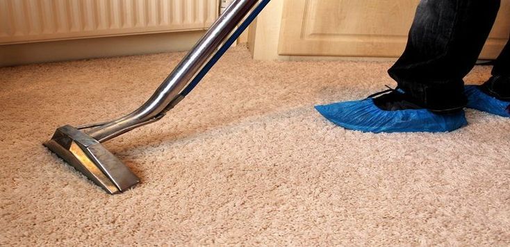 Carpet Cleaning